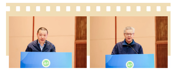 1740982323921990.png 1740982317398.png